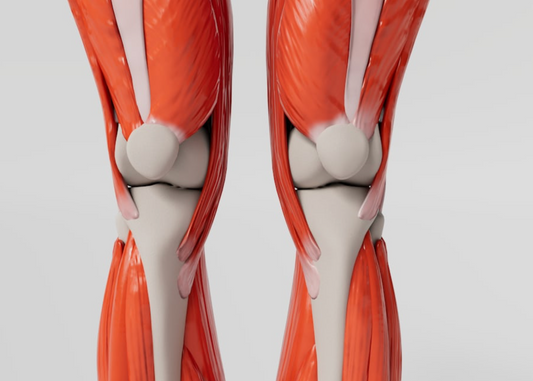Understanding & Treating Patellofemoral Pain Syndrome: Your Guide to a Pain-Free Knee
